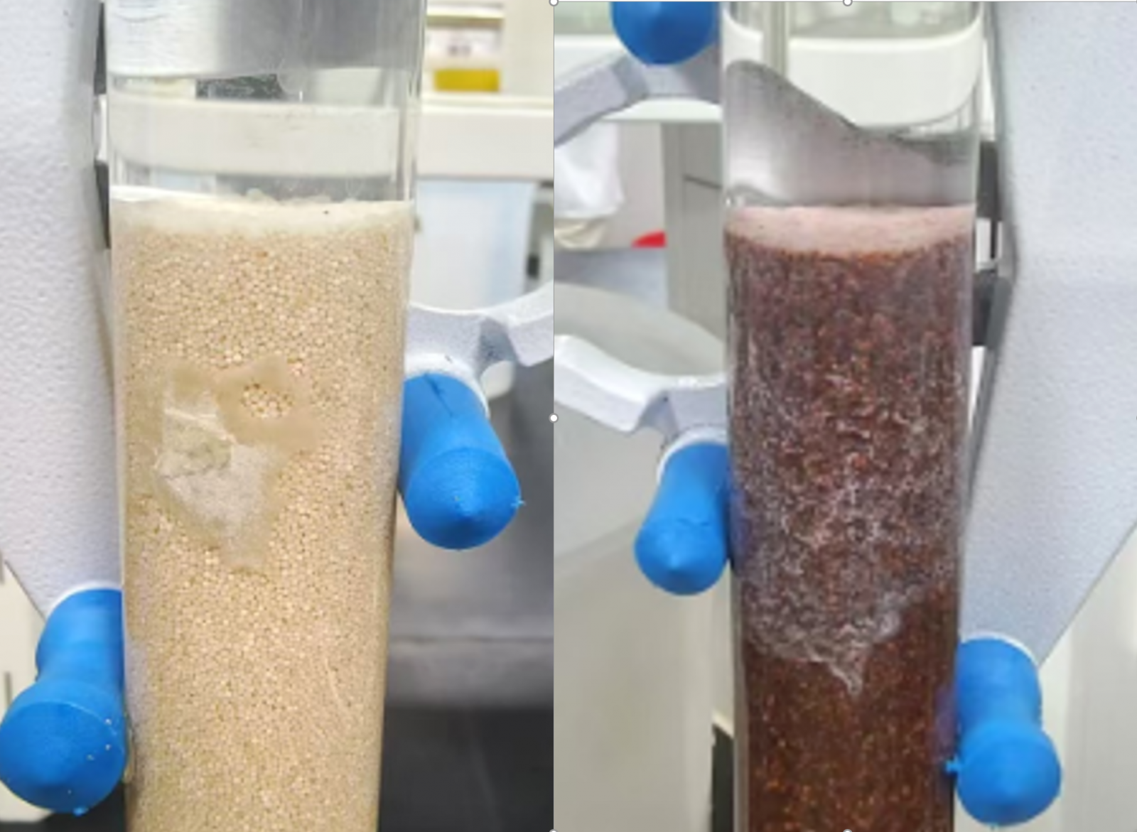 Bet·365(亚洲)唯一官方网站