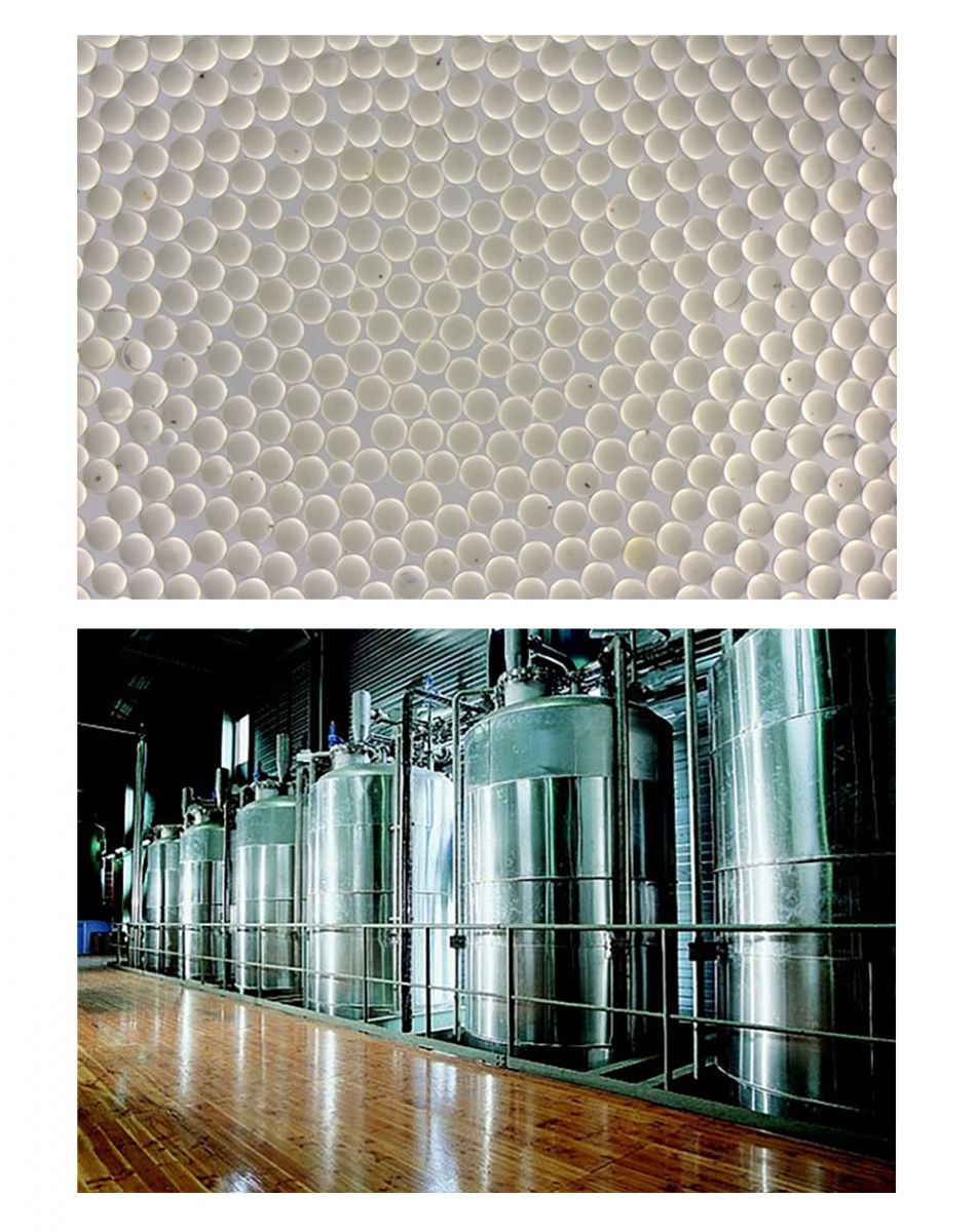 Bet·365(亚洲)唯一官方网站