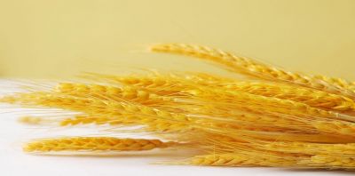 bet365ΨһСáǾ֪ʶ