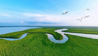 ˮ뻭bet365ΨһƯй̬ɫ